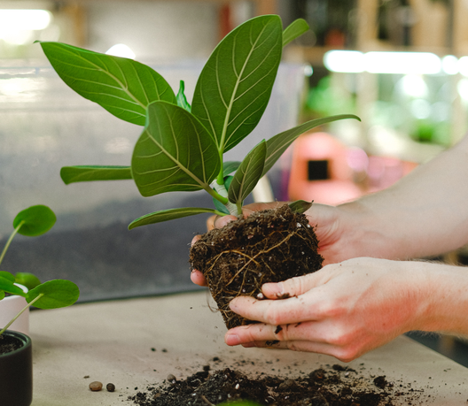 廢橡膠,廢橡膠再利用,廢橡膠及輸送帶回收處理 ( 新勝光機械有限公司 )